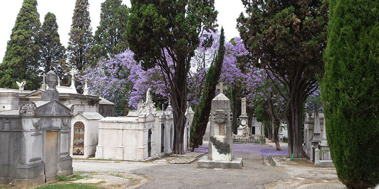 Banner Cemitério dos Prazeres